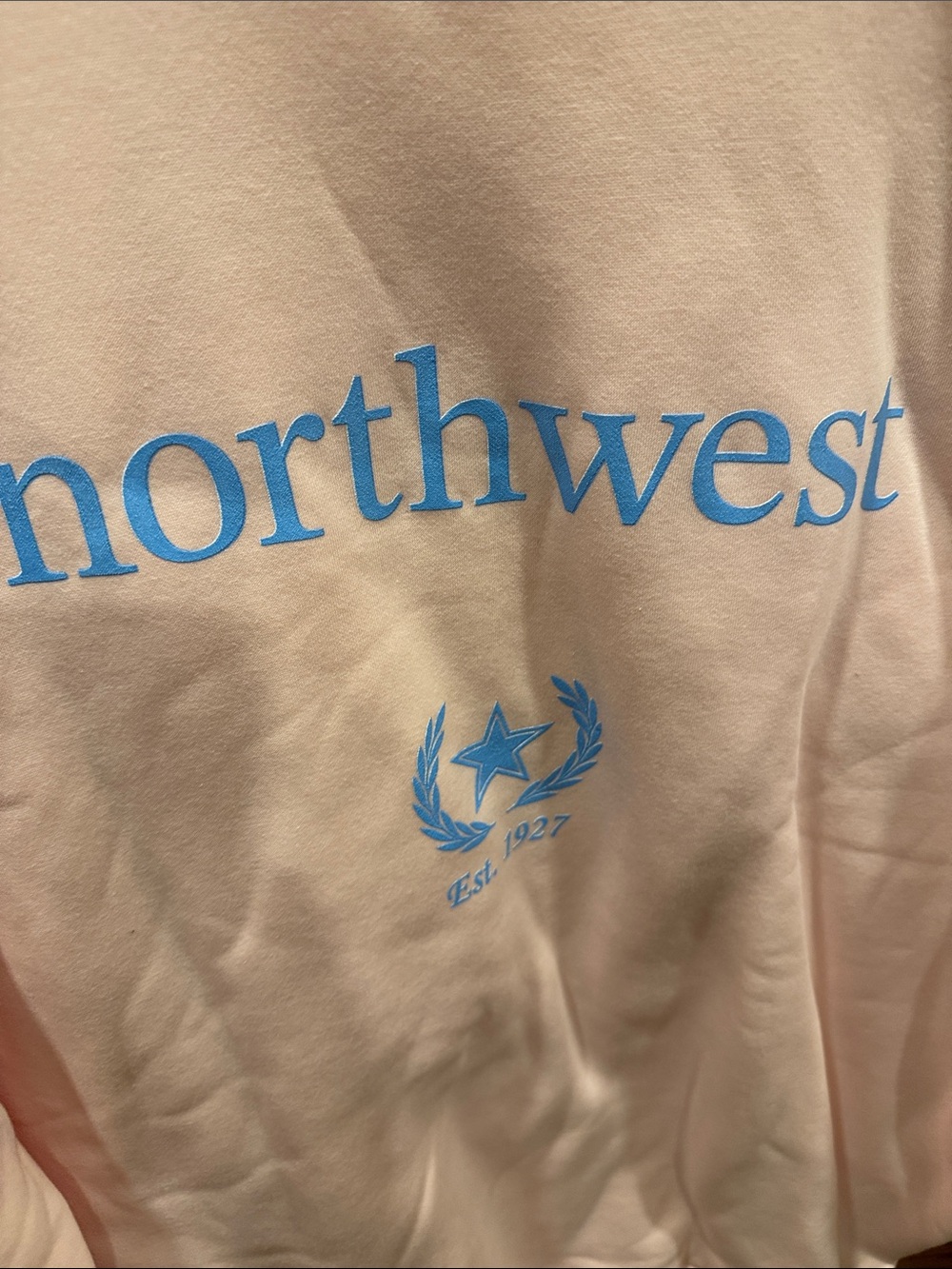 Northwest Graphic Sweatshirt in Light Pink with Blue Print
